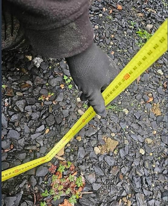 Seko WÓZ PASZOWY PASZOWÓZ SAMOJEZDNY SEKO SAMURAI KUHN