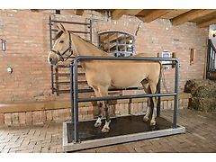 MD BM VIBRATIONSPLATTE VIBRO 2300