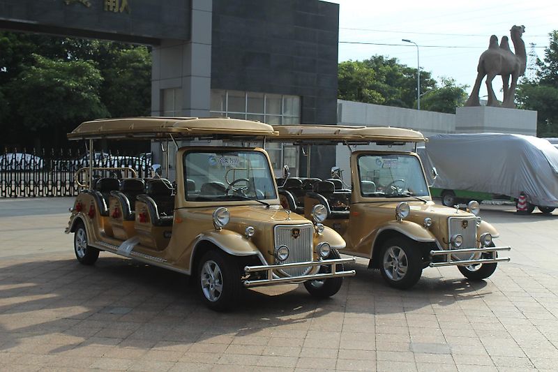 ICOCAR La Royale Lithium