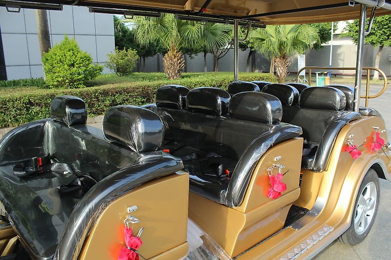 ICOCAR La Royale Lithium