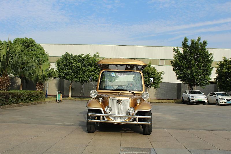 ICOCAR La Royale Lithium